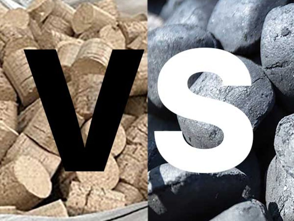 coal-vs-briquettte