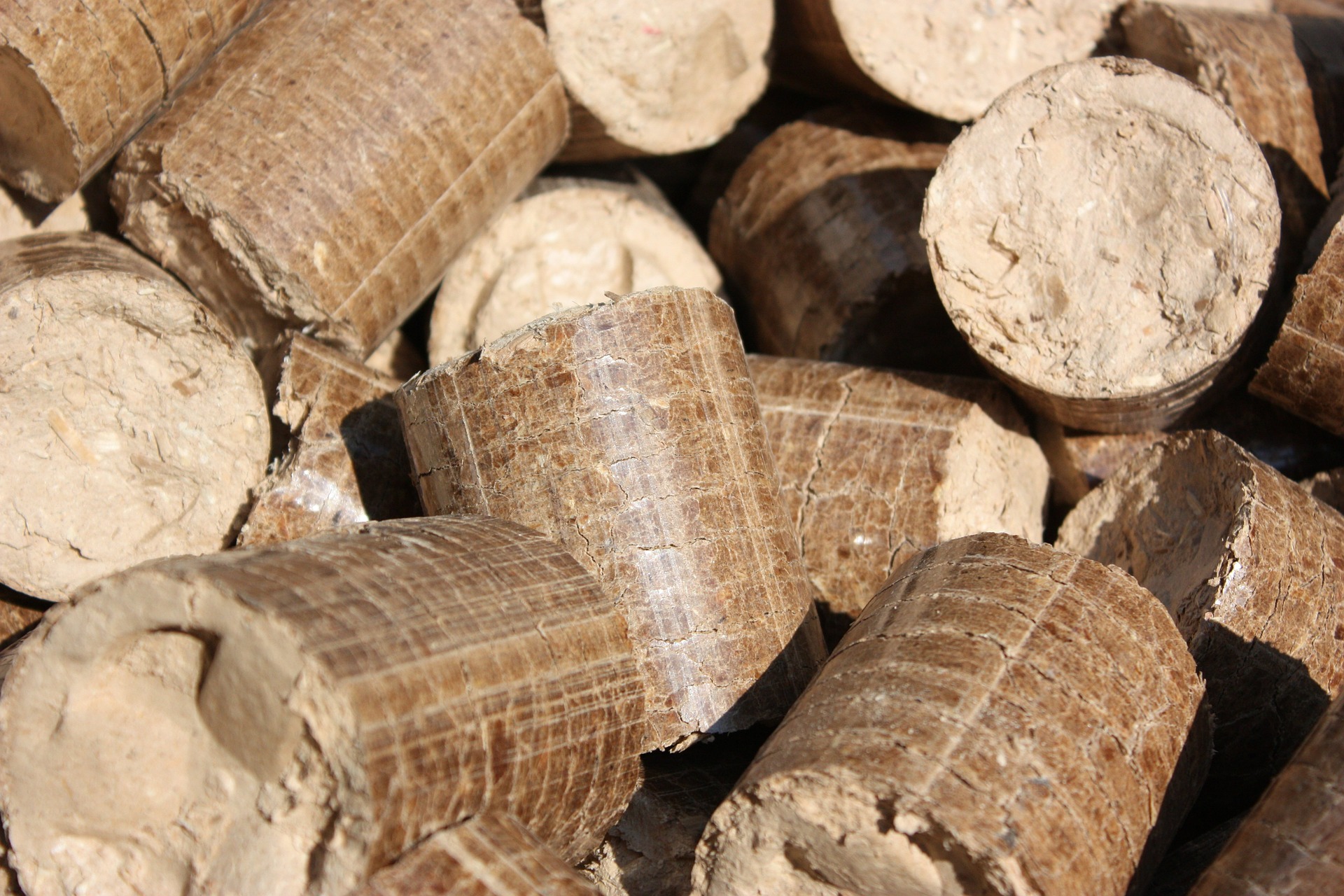 How the Wood Charcoal Briquette Business Is Fuelling Industrial Success